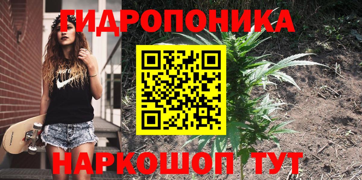 Шишки марихуана семена  Каннабис Bruce Banner  Каннабис Ganja  Вход с VPN  Бошки Шишки Amnesia  Воткинск 